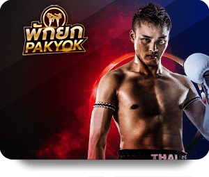 Explore the World of SBOTOP Live Dealer Hot Today and Win!
